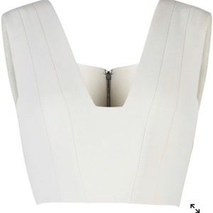 BCBGMAXAZRIA Rina Crop Top